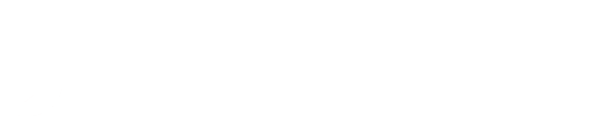 Promethean Logo_white