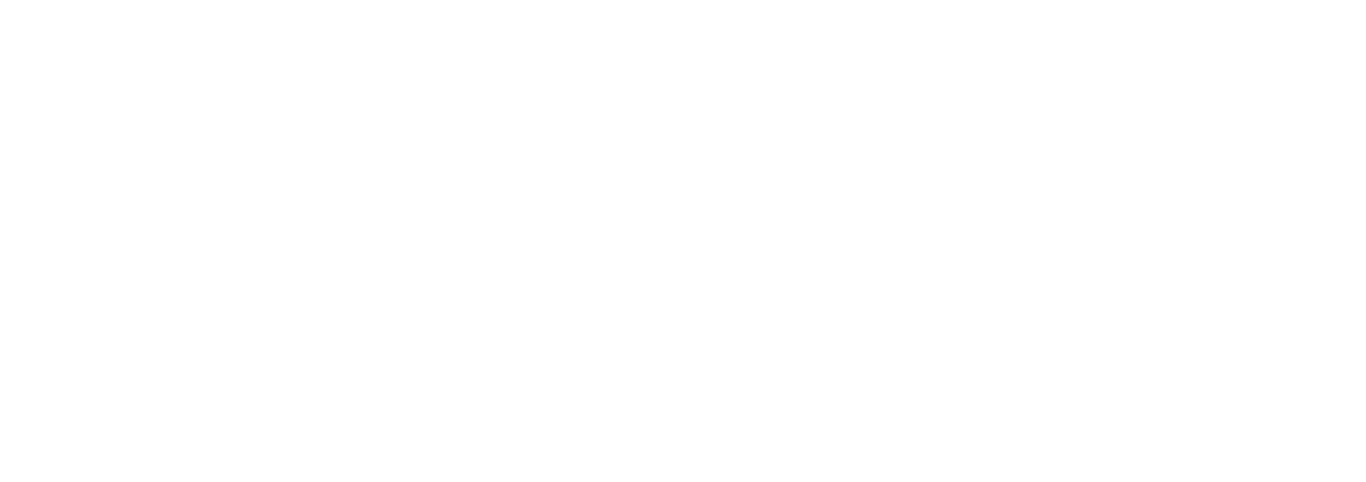 Cisco Logo White