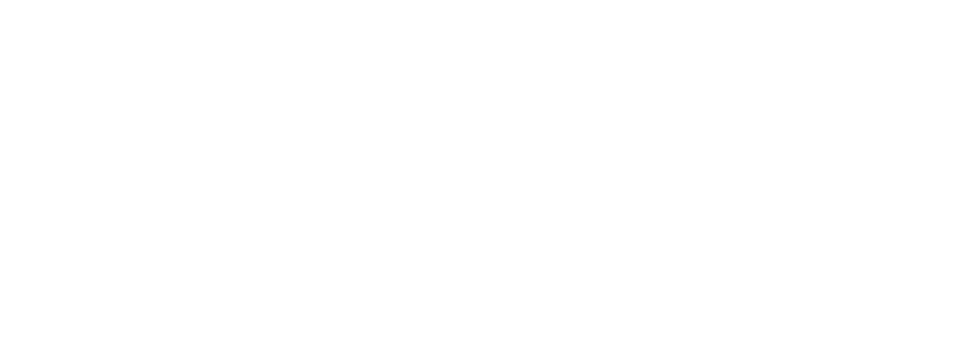 Connectwise Logo White