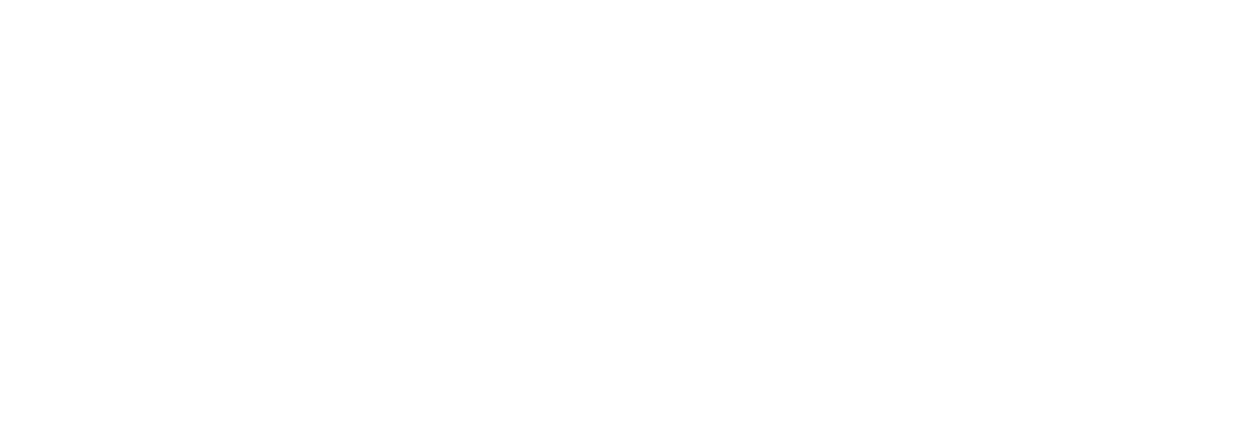 Fortitnet Logo White