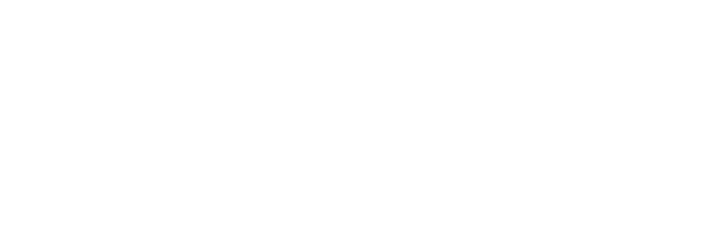 Google Logo White