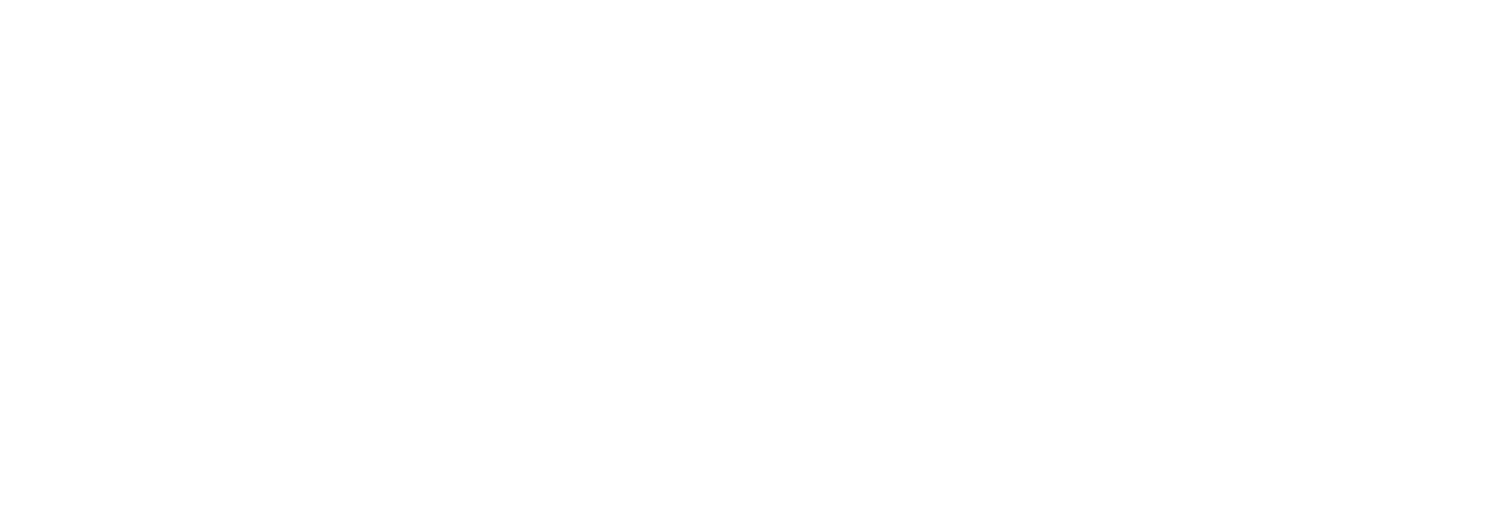 Ipevo Logo White