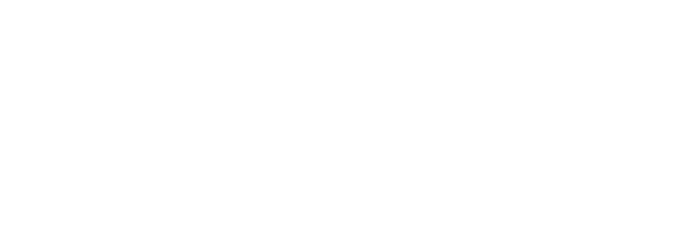 Linewise Logo White