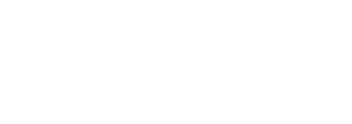 Promethean Logo White