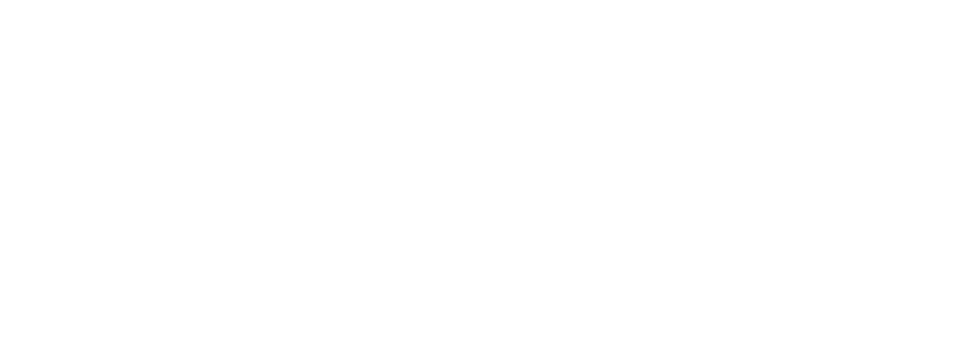 Scale Computing Logo White