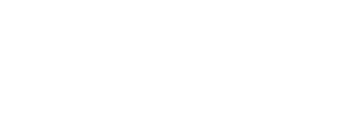 ScreenConnect White Logo