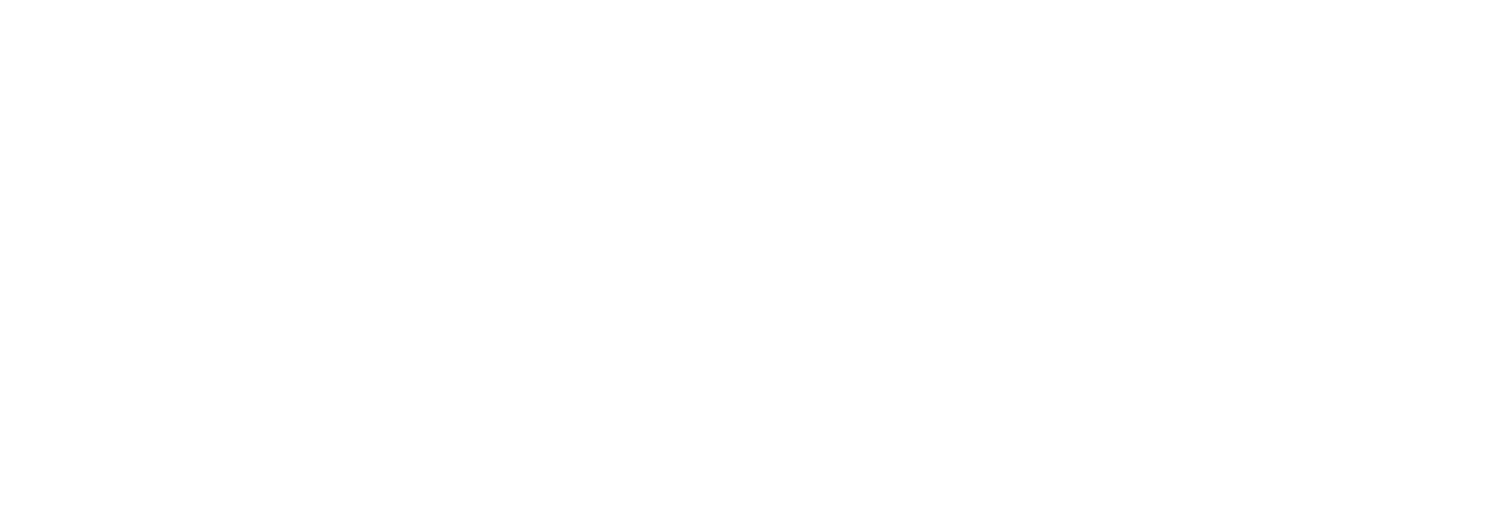 Securly Logo White