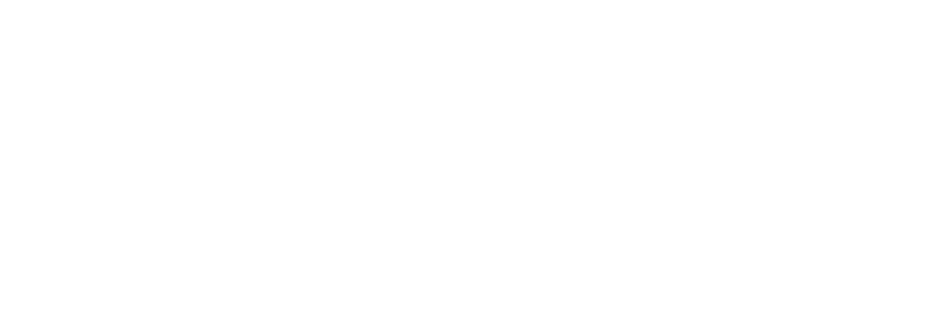 Sentinel One Logo White