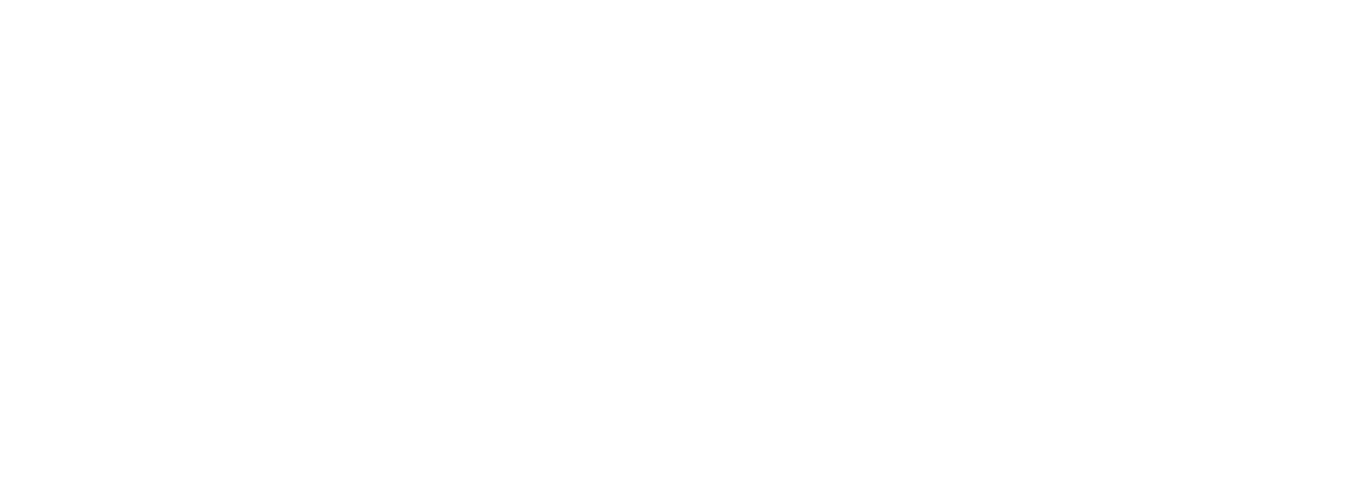 Veeam Logo White