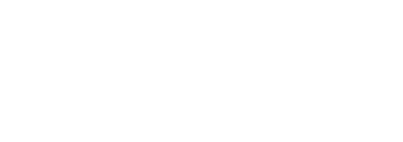 Vertiv Logo White
