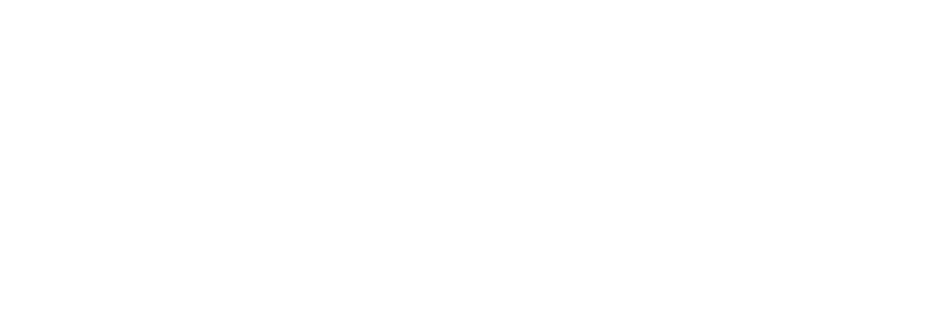 Vivi Logo White